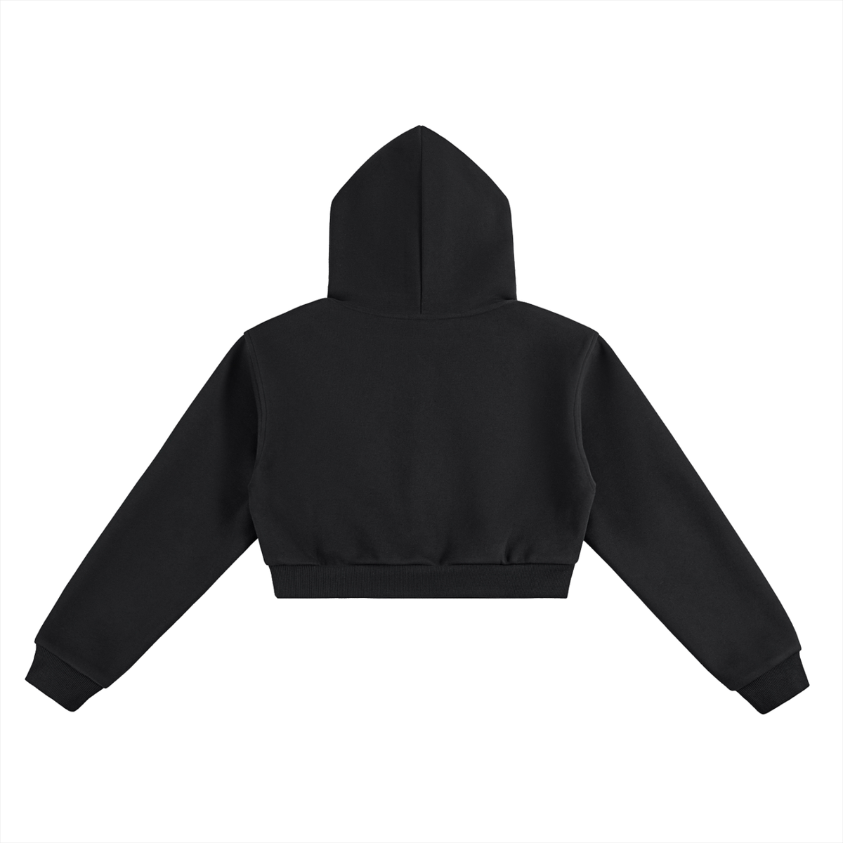 CS Cropped Hoodie