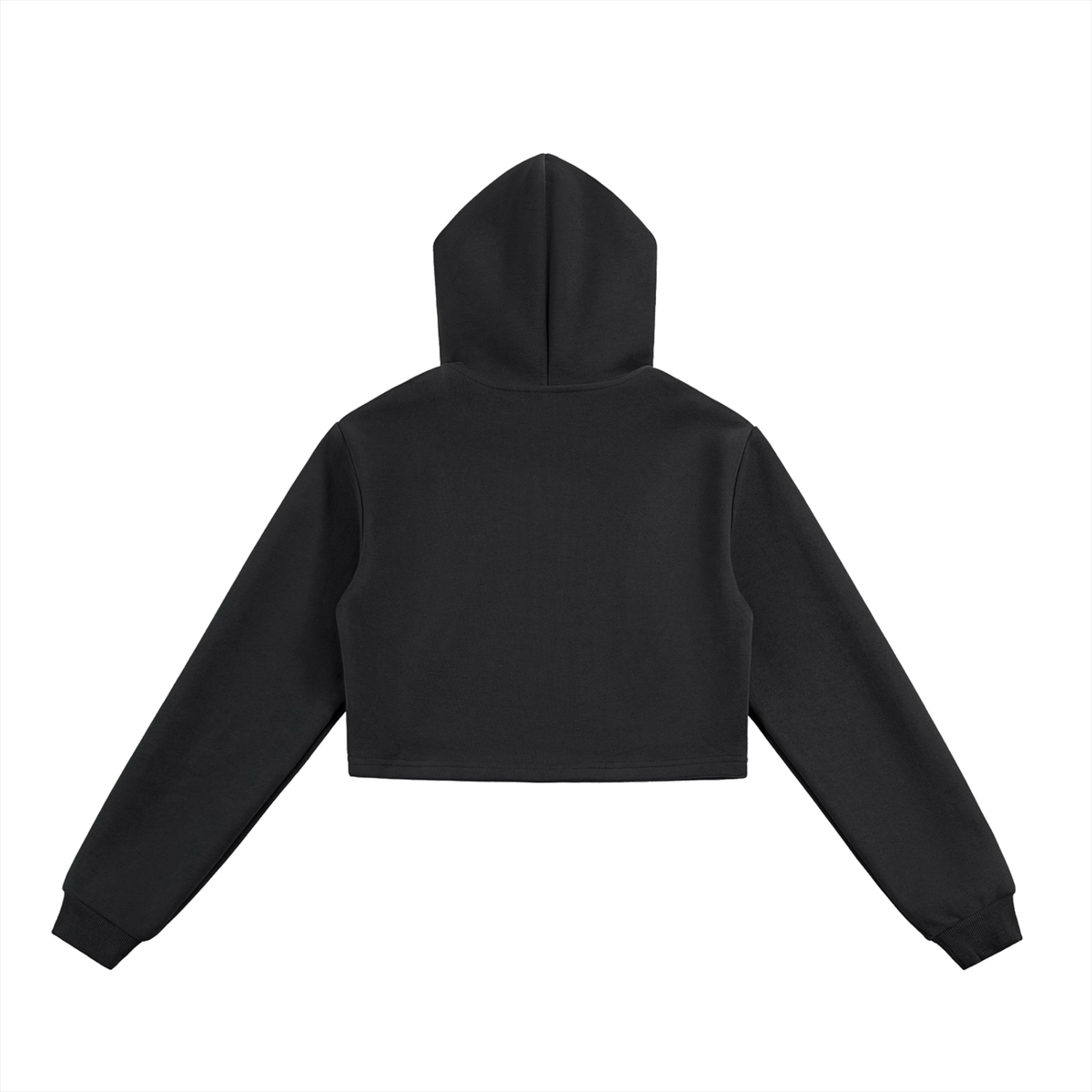 CS Cropped Hoodie