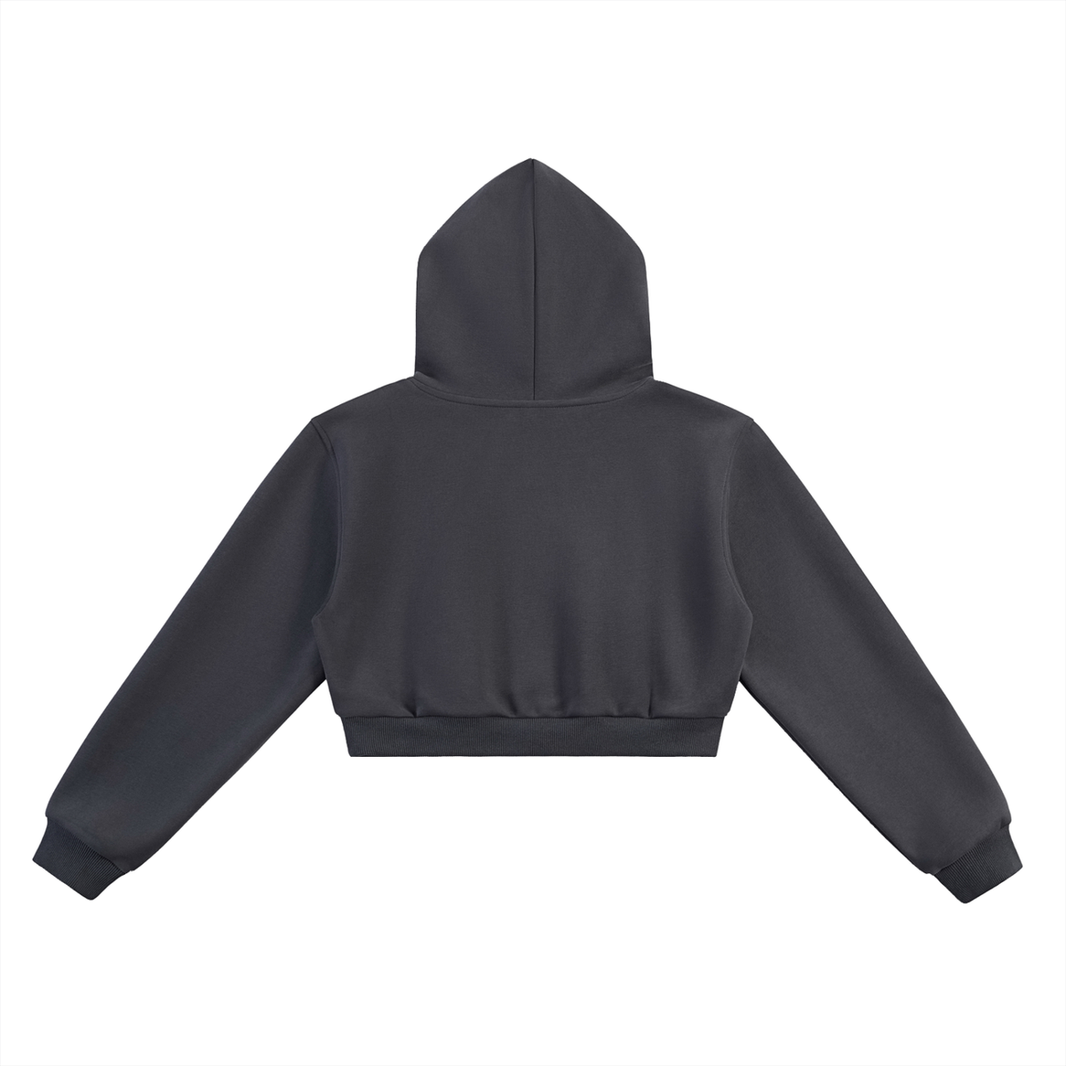 CS Cropped Hoodie