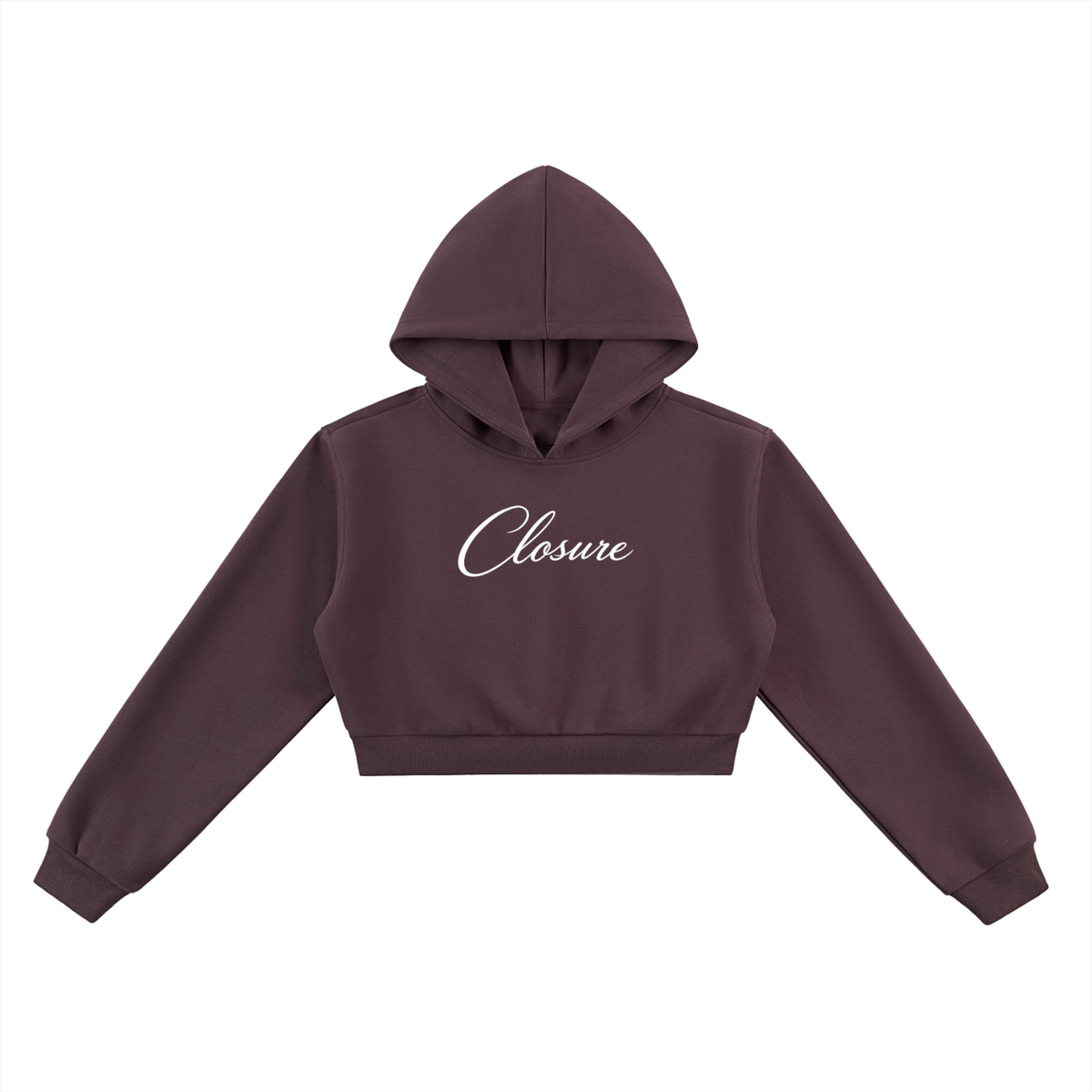 CS Cropped Hoodie