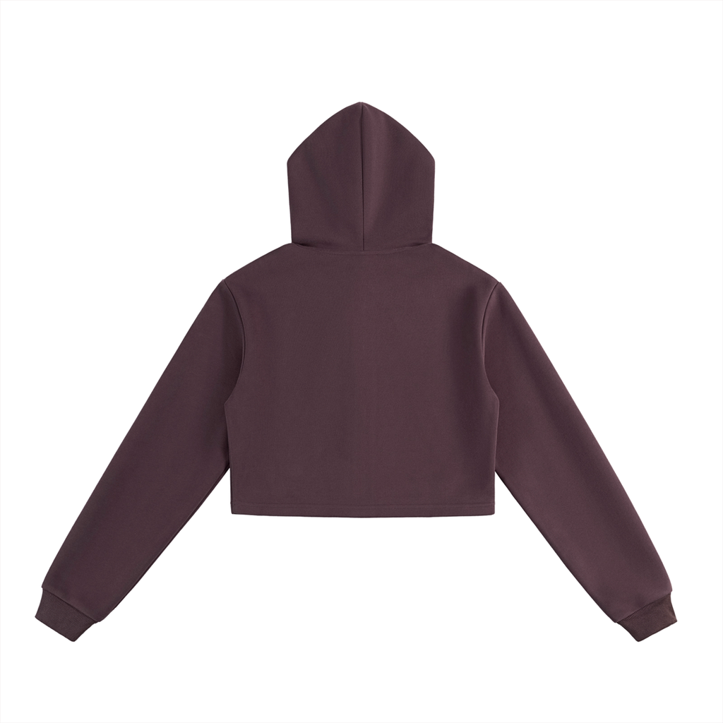 CS Cropped Hoodie