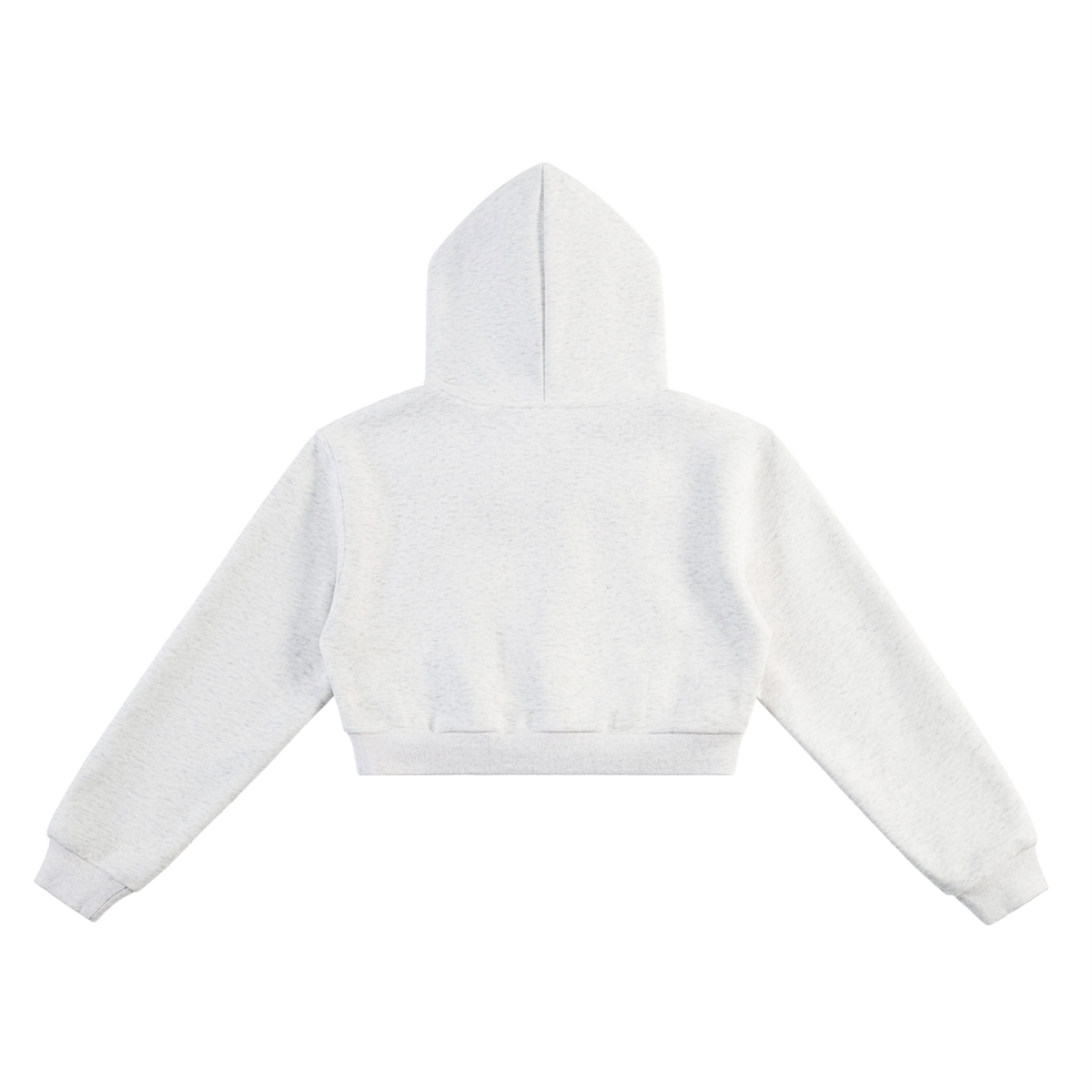 CS Cropped Hoodie